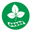 Soja